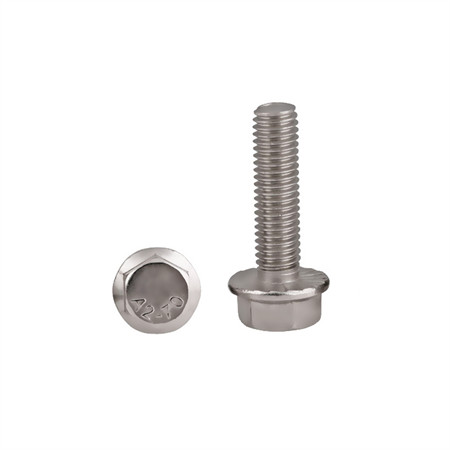 Carbon Steel Stainless Steel Hex Bolts Flange Bolts Square Bolts Carriage Bolts Plow Bolts Elevator Bolts