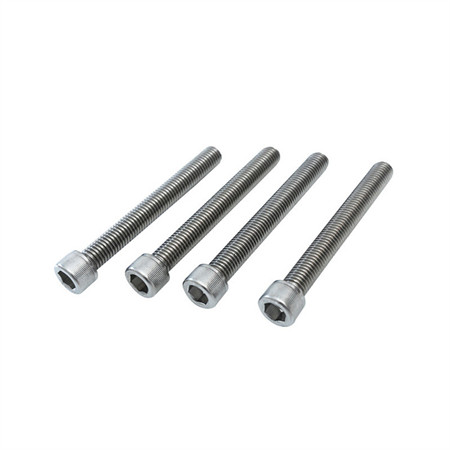 Ss 304 Truss Head M4 M6 M8 M10 M12*120 Carriage Bolts DIN603