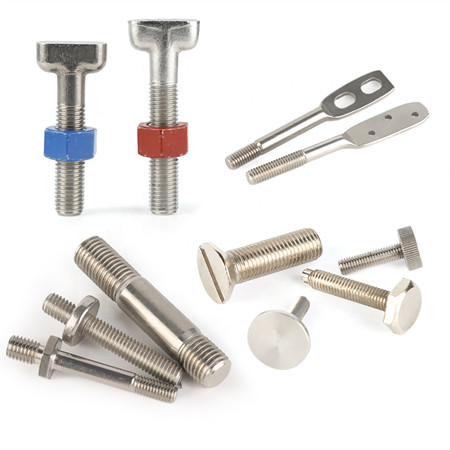 Ss 304 /Ss 316 T Bolt Made in China
