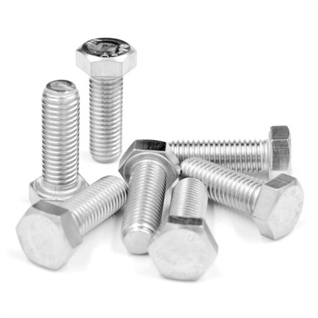 Specialized in Fastener Since 2002 SGS Proved Products Advanced Equipment Building Hardware Nut