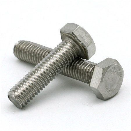 Ss Expansion Bolt