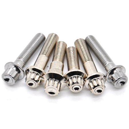 Ss Hexagon Socket Cap Head Bolts with Nut Allen Bolts