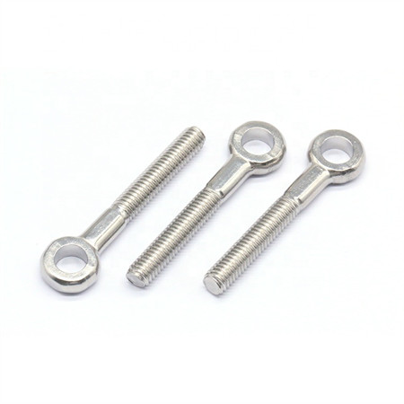 Ss 304 Standard Carriage/Coach Bolt DIN603