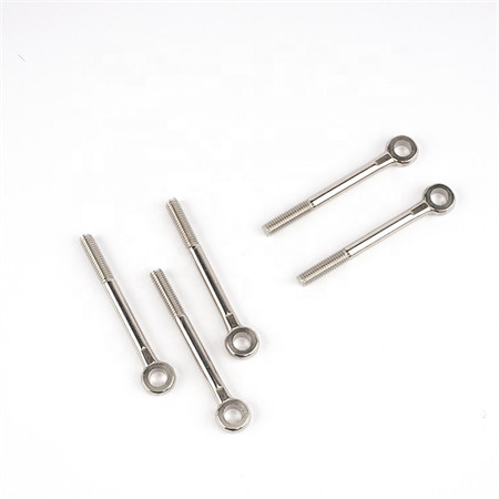 Ss Eye Bolt with T Nut