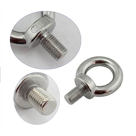 Stainless Steel Bolts/Hexagon Head Bolt and Nuts/Carriage Bolt/U Bolt/ Hex Flange Bolt/Anchor Bolt /Eye Bolt/Stud Bolts DIN933/DIN931/DIN603 DIN6921