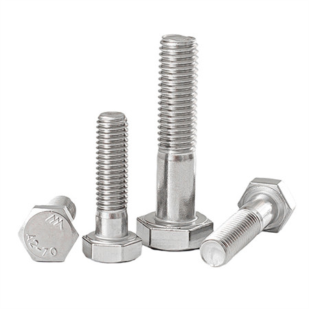 Nuts Factory Direct Supply Stainless Steel Door Screw Bolt and Nut