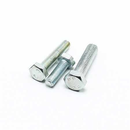 Stainless Steel Hex Bolt/Carriage Bolt/Anchor Bolt/Flange Bolt/T Bolt/Square Head Bolt/Hex Socket Cap Screw/Square Bolt/Wing Bolt/Eye Bolt/Knurled Bolt/U Bolt
