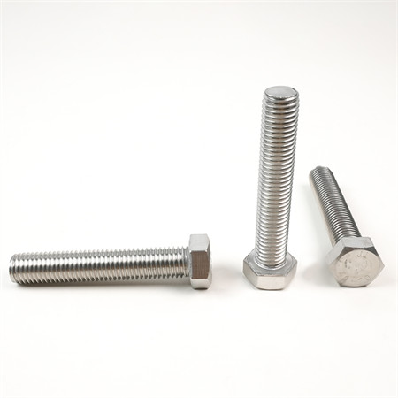 Ss 304 Stainless Steel M10X200 Solar Double Head Hanger Bolt with Nuts and Washers for Solar Mounting