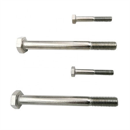 Ss 304 316 Wedge Anchor /Through Bolt