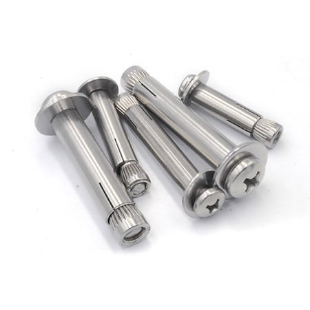 M20 Worm Thread Stainless Steel SS316 Wedge Ss Price Anchor Bolt M16