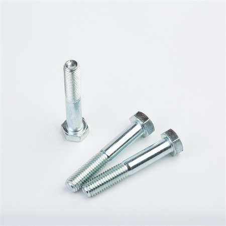 Ss Wedge Anchor Bolt for American Market 1/4 3/8