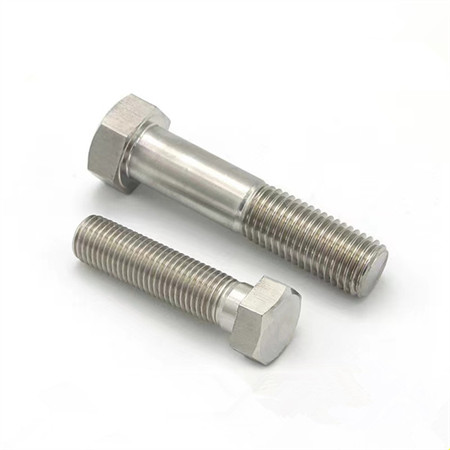 Double Thread Hanger Bolt for Fixing Panel Made of Stainless Steel 304
