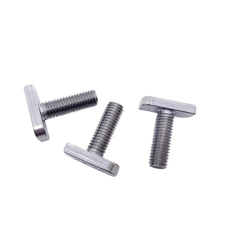 China Factory Stainless Steel 304 /316 T Bolt