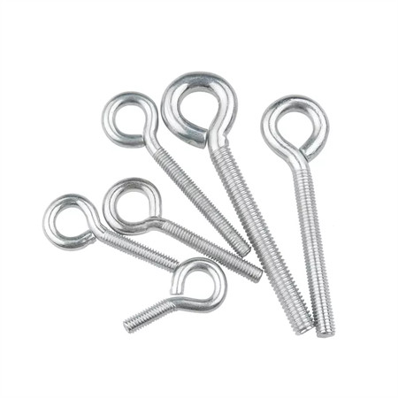Ss Eye Bolt with T Nut