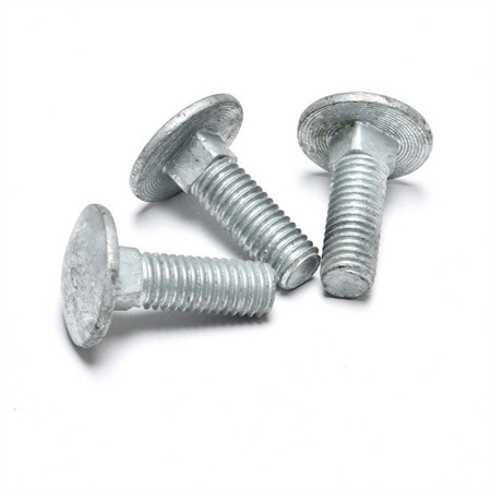 Stainless Steel L Bolt/ Anchor Bolt with Washers and Nuts