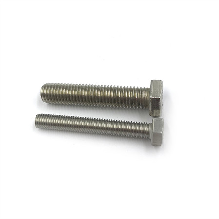 DIN261 Stainless Steel Ss #304 #316 T Type Head Bolt