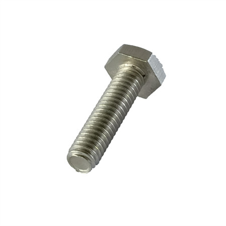 Stainless Steel 304 316 Flange Bolt/Carriage Bolt/Square Bolt/Through Bolt/Wedge Anchor