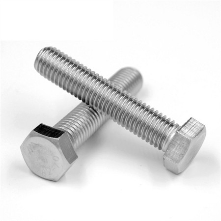 Stainless Steel Carriage Bolt Hex Bolt U Bolt Through Bolt Wedge Anchor