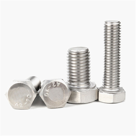 ODM/OEM Dome Head Stainless Steel Carriage Bolts