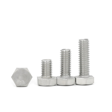 Expansion Anchor Bolt with Nuts and Washer Ss 304 316 3/8