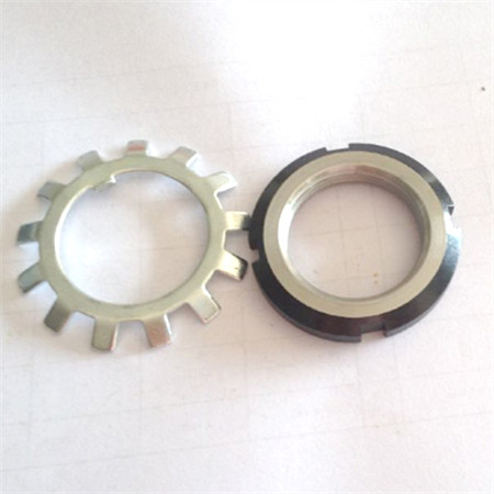 Customized Round Head Brass Screw Stud Stainless Steel Bolts Nuts
