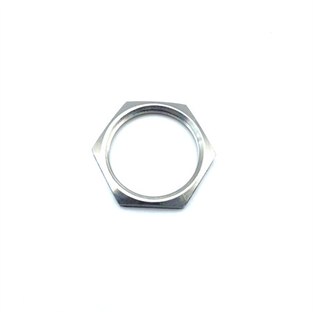 DIN985 DIN982 Ss Stainless Steel Hexagon blue Nylock Insert Nuts