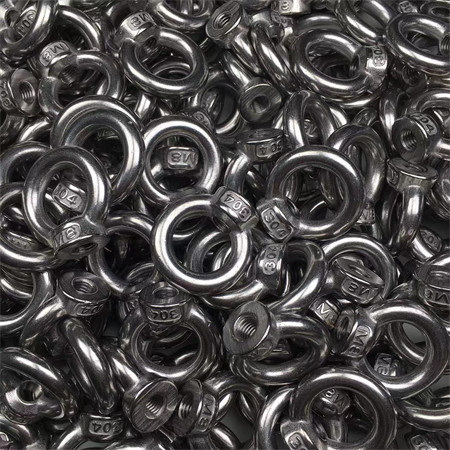 M6 Stainless Steel SS316 SS316 A4-70 A4-80 Spring Nut