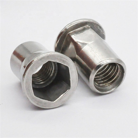 Qbh All Type Heavy/Hex/Square/Rhombus/Flange/Round Slotted/T-Nut/Wing Butterfly/Ring/Castle/Long/Thick/Thin/Rivet/Insert/Spring/Lug CS Ss Brass Alloy Nut