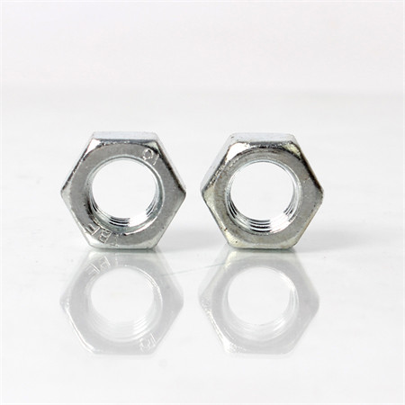 Ss 304 DIN982 Hex Nylon Insert Lock Nut