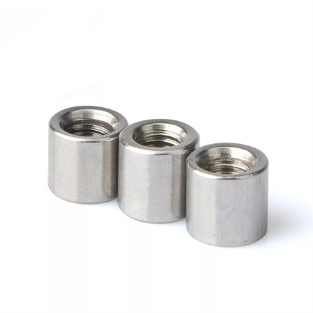 Ss 304 316 DIN982 Nylon Insert Hexagon Stop Lock Nuts M10 M12