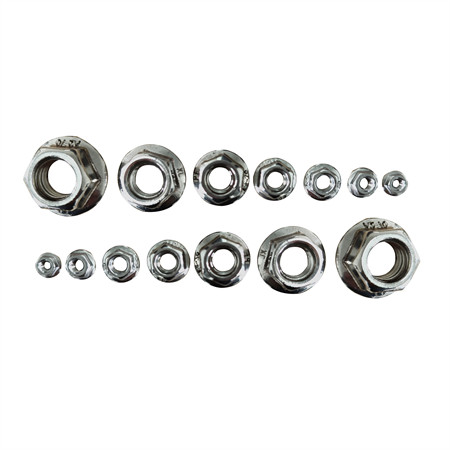 Ss 304 316 DIN982 Nylon Insert Hexagon Stop Lock Nuts M10 M12