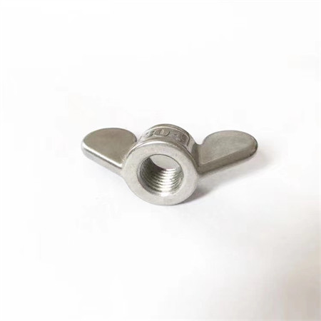 Ss 304 Fastener M6 Flange Nut Stainless Steel