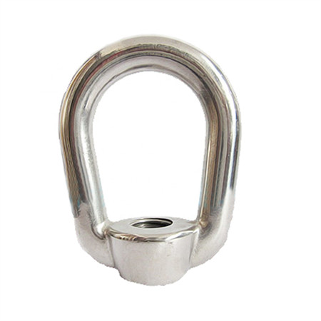 Stainless Steel A4-80 Nylon Insert Lock Nut (DIN985)