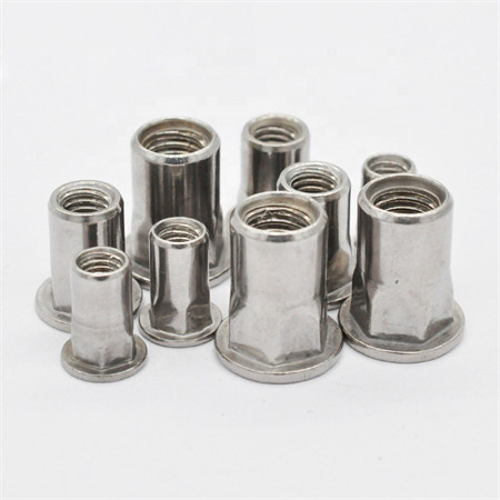 Customized Hex Head Nut with DIN Standard Carbon Steel/Ss Hex Flange Nut/Nylon Lock Nuts
