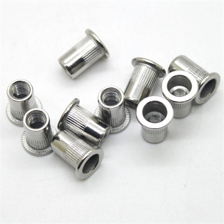 Wholesale Premium Ss Durable Rivet Nut for Heavy Industry