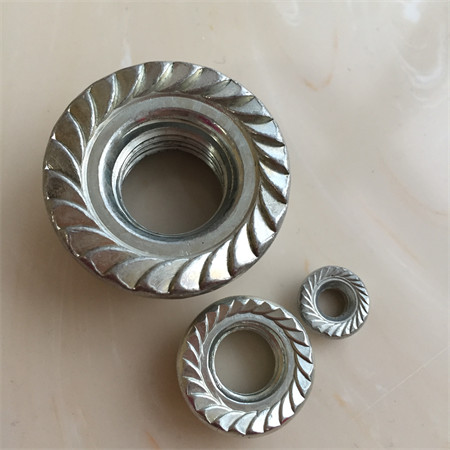 Stainless M8X125 Ss M14 Thread Serrated M16X1.5 304 Flange Nut