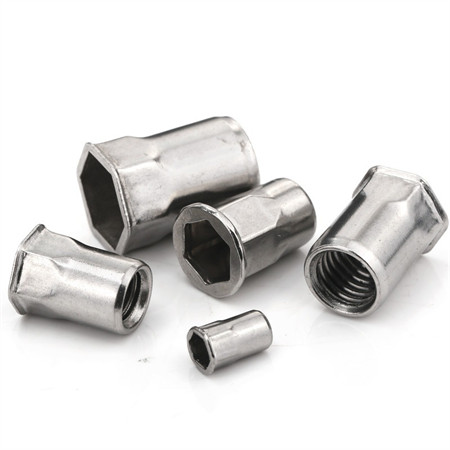 Customer Customized/Standard Hex Head Nut with DIN Standard /Ss Hex Flange Nut/Nylon Nut/DIN985 Hex Nut