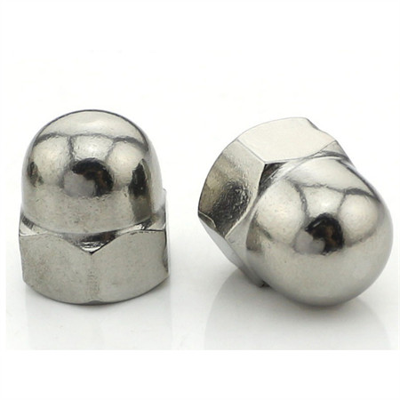 Quality Stainless Steel T-Nut by Transhow, Pronged Tee Nut for Wood, Rock Climbing Holds, Cabinetry