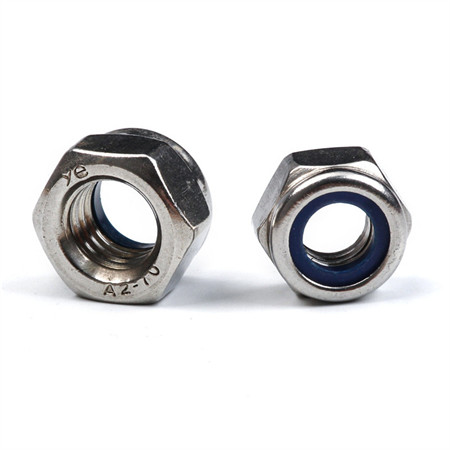Ss 304 Ss 316 DIN-985 M6 M8 M10 Nylon Nut Stainless Steel A2-70 A4-80 Nylock Nuts