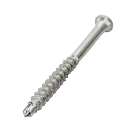 Hot Sale Phillips Flat Head Ss 304 316 Stainless Steel Screw Wood for Furnitures