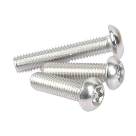 Ss Torx Pan Head Captive Security Screw Safety Screws
