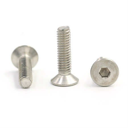 Stainless Steel Competitive Price Ss 316 3/4