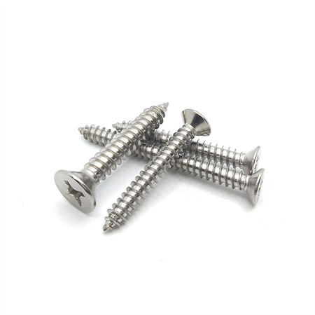 Factory Customized Metal Fasteners 4.2*19 Ss 304 Cross Recessed Countersunk Pan Head Tapping Screws