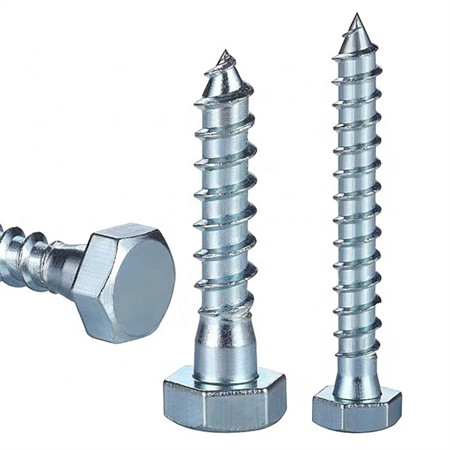 Fastener Supplier Stainless Steel Self Tapping Screw/Drilling Screw/Wood Screw/Furniture Screw/Hex Socket Head Screw/Drywall Screw/Chipboard Screw